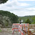 Летний дом Castello Di Selvole (adults Only)