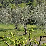 Летний дом Castello Di Selvole (adults Only) *